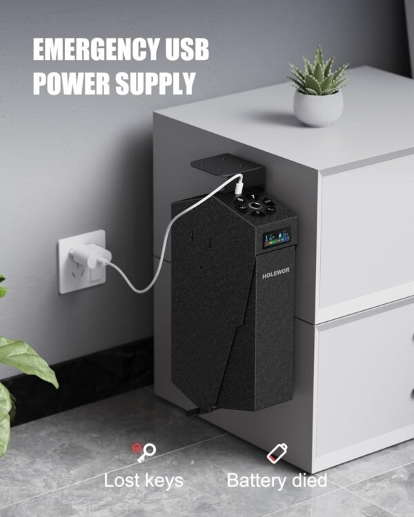 Biometric Gun Safe HOLEWOR Review Secure Quick Access Handgun Storage Insights Biometric Gun Safe HOLEWOR Review Secure Quick Access Handgun Storage Insights