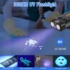 BORUIT V10 Small Powerful Flashlight Review with 365nm UV Black Light Features BORUIT V10 Small Powerful Flashlight Review with 365nm UV Black Light Features